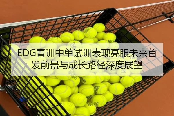 EDG青训中单试训表现亮眼未来首发前景与成长路径深度展望